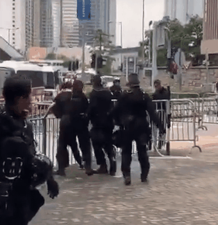 Raptors slam a subdued protester to the ground
