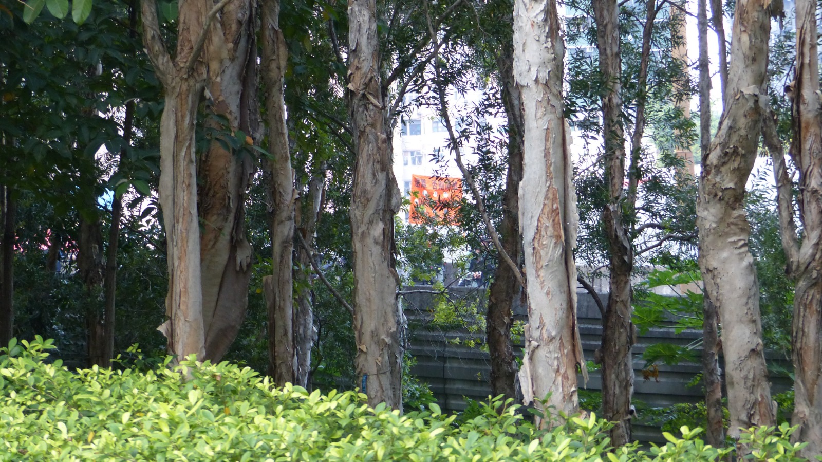 2019.10.01 沒有國慶 只有國殤